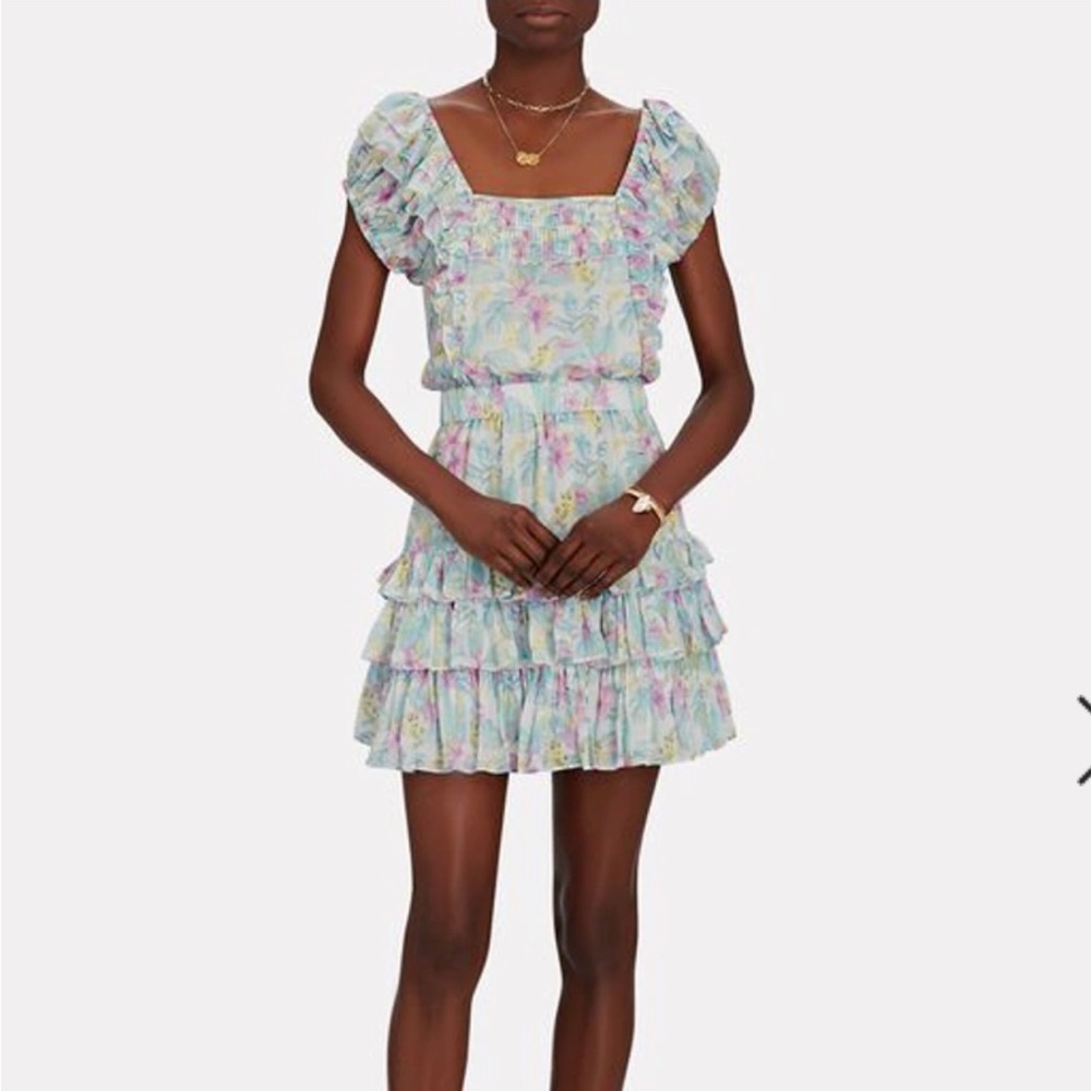 LoveShackFancy Ivoire Floral Chiffon Ruffle Mini Dress XS Feminine Cottagecore